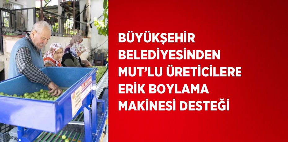 BÜYÜKŞEHİR BELEDİYESİNDEN MUT’LU ÜRETİCİLERE ERİK BOYLAMA MAKİNESİ DESTEĞİ