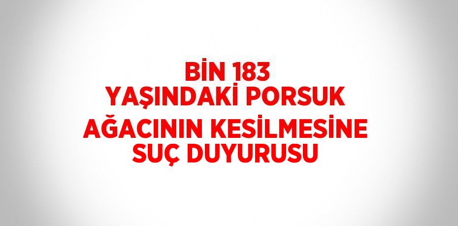 BİN 183 YAŞINDAKİ PORSUK AĞACININ KESİLMESİNE SUÇ DUYURUSU