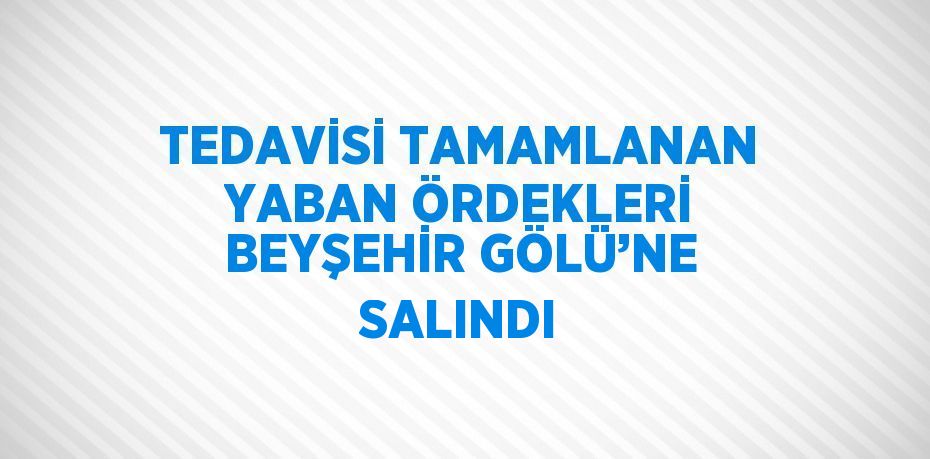 TEDAVİSİ TAMAMLANAN YABAN ÖRDEKLERİ BEYŞEHİR GÖLÜ’NE SALINDI