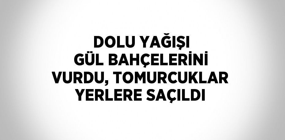 DOLU YAĞIŞI GÜL BAHÇELERİNİ VURDU, TOMURCUKLAR YERLERE SAÇILDI