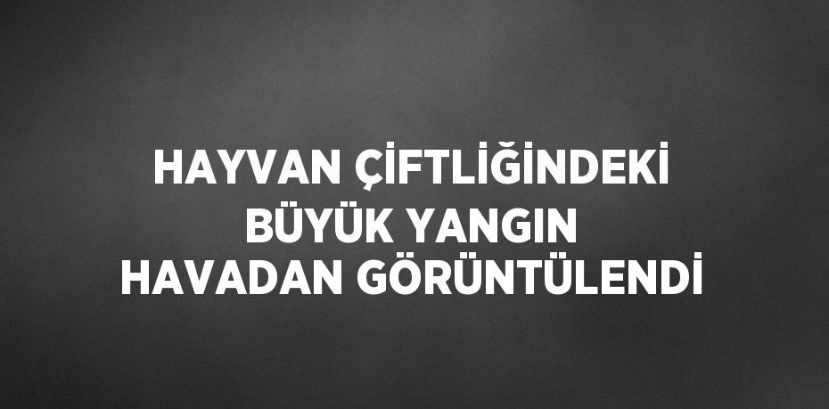 HAYVAN ÇİFTLİĞİNDEKİ BÜYÜK YANGIN HAVADAN GÖRÜNTÜLENDİ