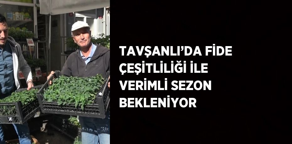 TAVŞANLI’DA FİDE ÇEŞİTLİLİĞİ İLE VERİMLİ SEZON BEKLENİYOR