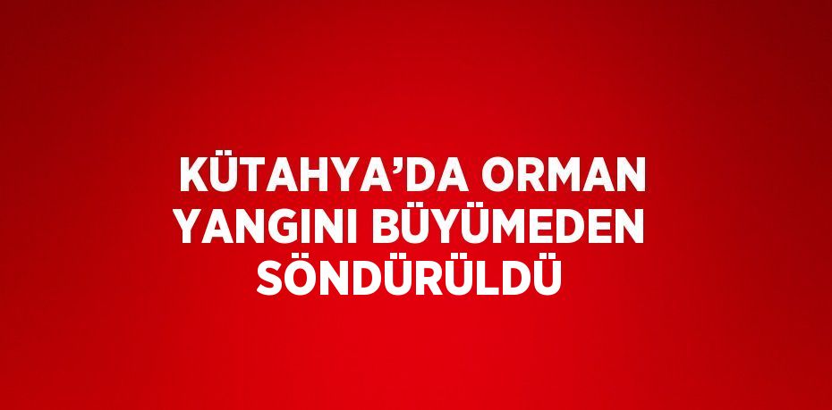 KÜTAHYA’DA ORMAN YANGINI BÜYÜMEDEN SÖNDÜRÜLDÜ