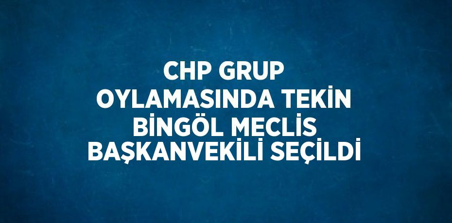 CHP GRUP OYLAMASINDA TEKİN BİNGÖL MECLİS BAŞKANVEKİLİ SEÇİLDİ