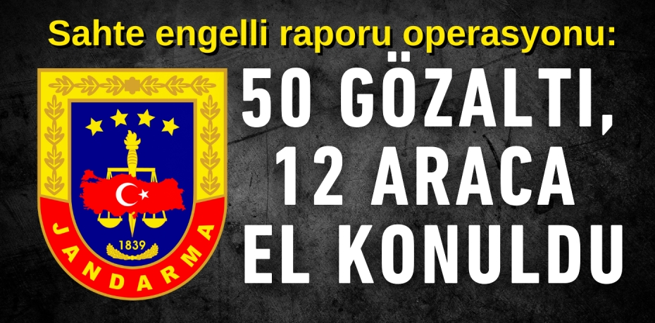 Sahte engelli raporu operasyonu:  50 GÖZALTI, 12 ARACA EL KONULDU