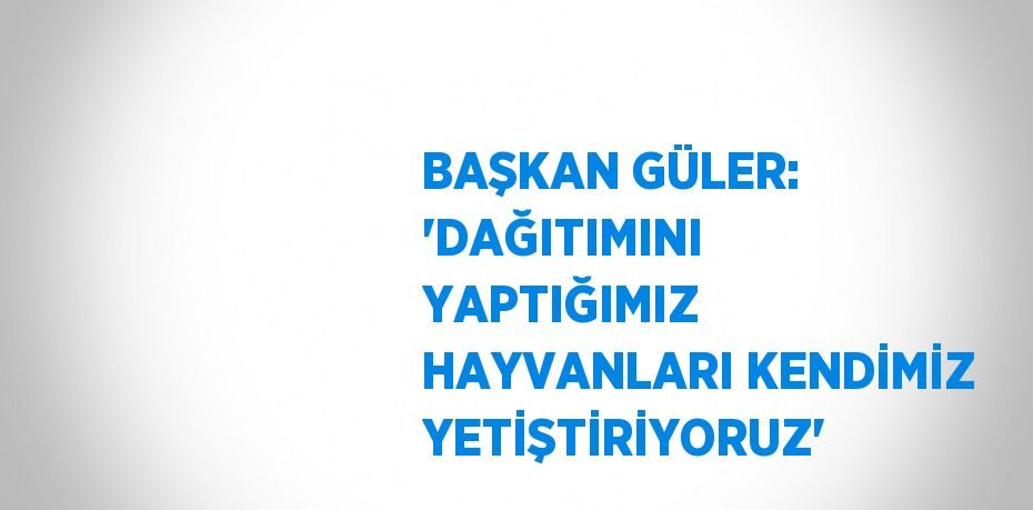 BAŞKAN GÜLER: 'DAĞITIMINI YAPTIĞIMIZ HAYVANLARI KENDİMİZ YETİŞTİRİYORUZ'