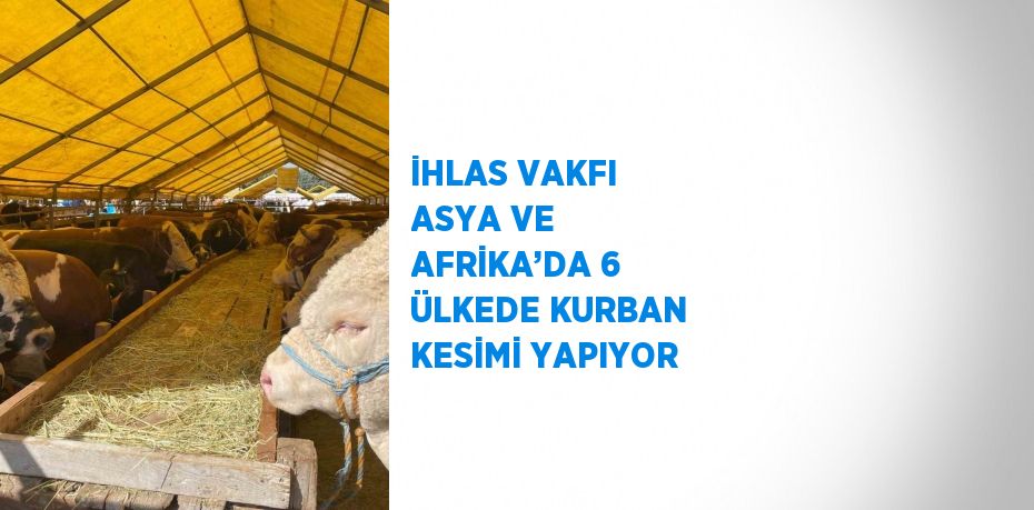 İHLAS VAKFI ASYA VE AFRİKA’DA 6 ÜLKEDE KURBAN KESİMİ YAPIYOR