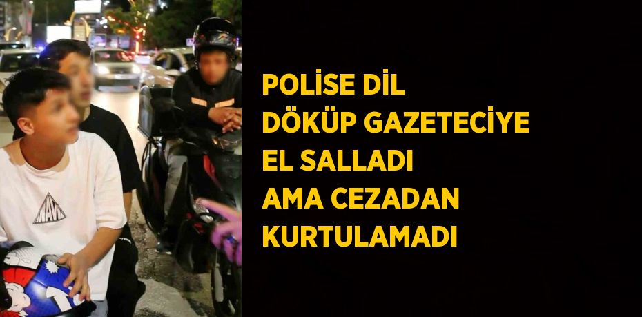 POLİSE DİL DÖKÜP GAZETECİYE EL SALLADI AMA CEZADAN KURTULAMADI