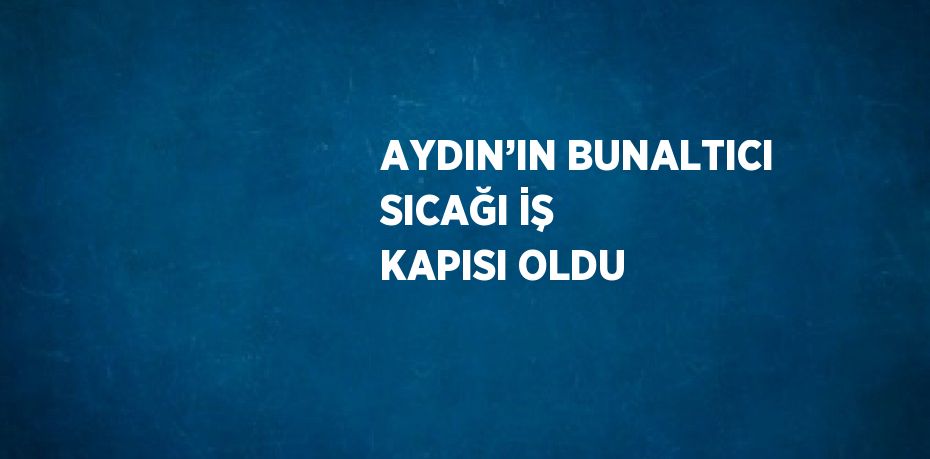 AYDIN’IN BUNALTICI SICAĞI İŞ KAPISI OLDU
