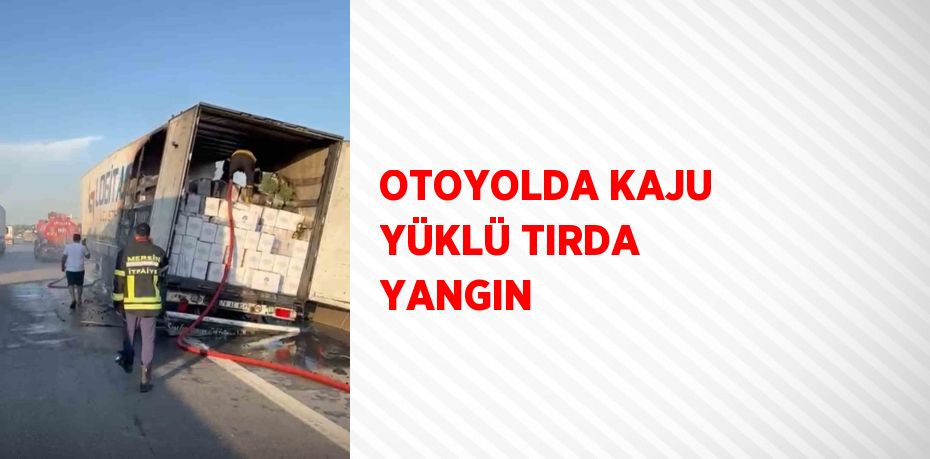 OTOYOLDA KAJU YÜKLÜ TIRDA YANGIN