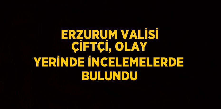ERZURUM VALİSİ ÇİFTÇİ, OLAY YERİNDE İNCELEMELERDE BULUNDU