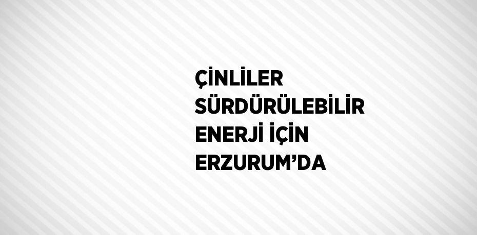 ÇİNLİLER SÜRDÜRÜLEBİLİR ENERJİ İÇİN ERZURUM’DA