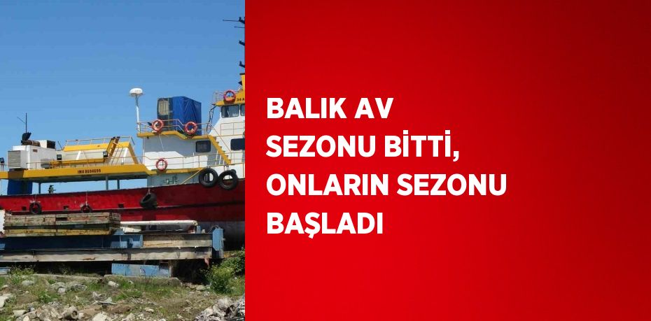 BALIK AV SEZONU BİTTİ, ONLARIN SEZONU BAŞLADI