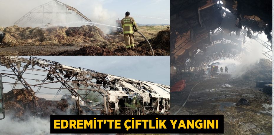 EDREMİT’TE ÇİFTLİK YANGINI