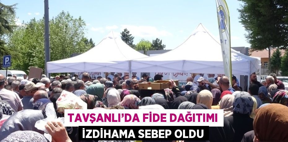 TAVŞANLI’DA FİDE DAĞITIMI İZDİHAMA SEBEP OLDU