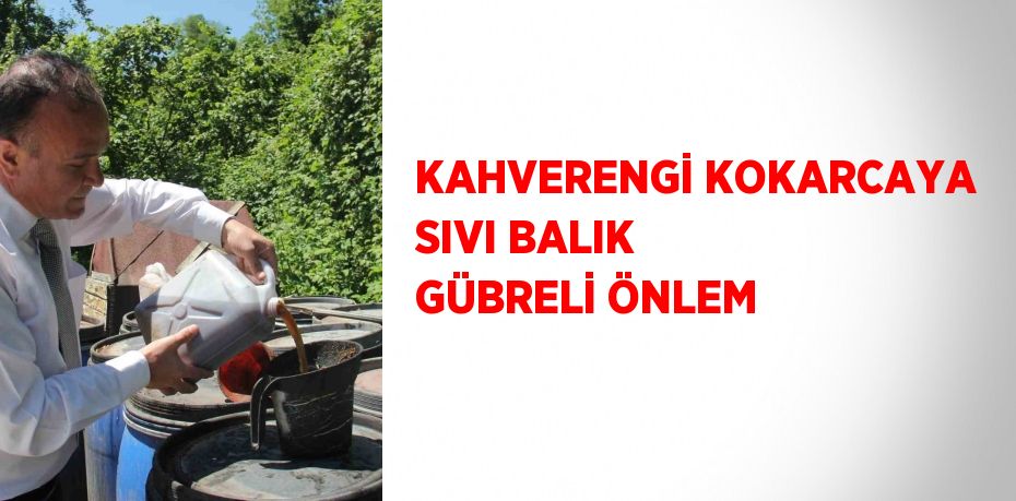 KAHVERENGİ KOKARCAYA SIVI BALIK GÜBRELİ ÖNLEM