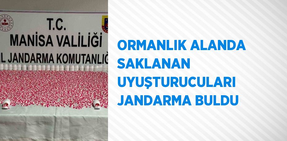 ORMANLIK ALANDA SAKLANAN UYUŞTURUCULARI JANDARMA BULDU