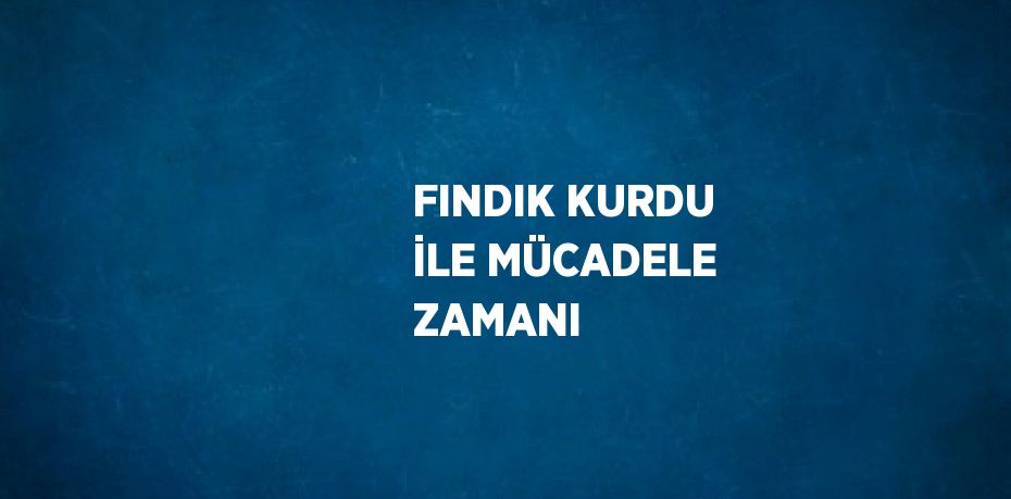 FINDIK KURDU İLE MÜCADELE ZAMANI