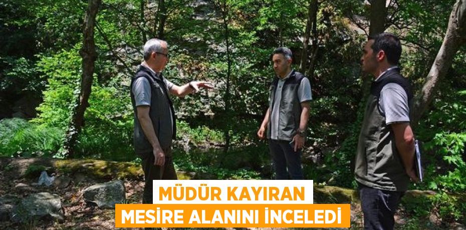 MÜDÜR KAYIRAN MESİRE ALANINI İNCELEDİ