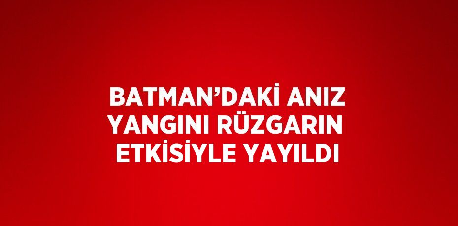 BATMAN’DAKİ ANIZ YANGINI RÜZGARIN ETKİSİYLE YAYILDI