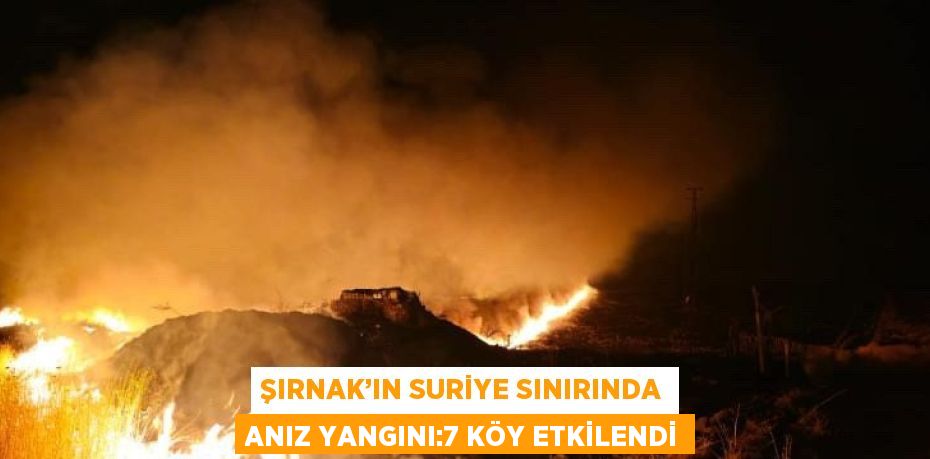 ŞIRNAK’IN SURİYE SINIRINDA ANIZ YANGINI:7 KÖY ETKİLENDİ