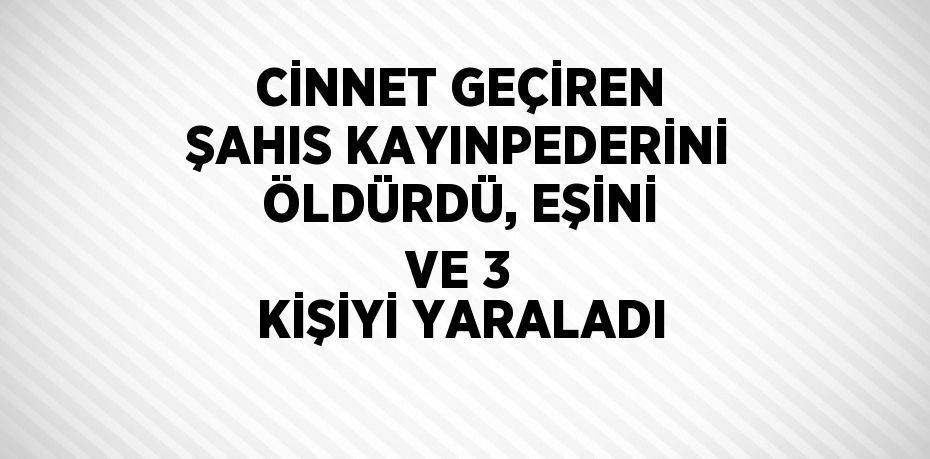 CİNNET GEÇİREN ŞAHIS KAYINPEDERİNİ ÖLDÜRDÜ, EŞİNİ VE 3 KİŞİYİ YARALADI