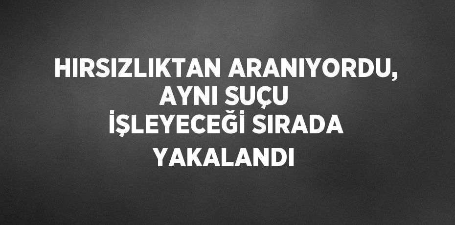 HIRSIZLIKTAN ARANIYORDU, AYNI SUÇU İŞLEYECEĞİ SIRADA YAKALANDI