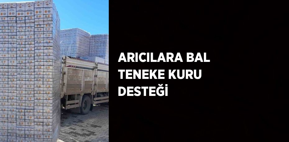 ARICILARA BAL TENEKE KURU DESTEĞİ