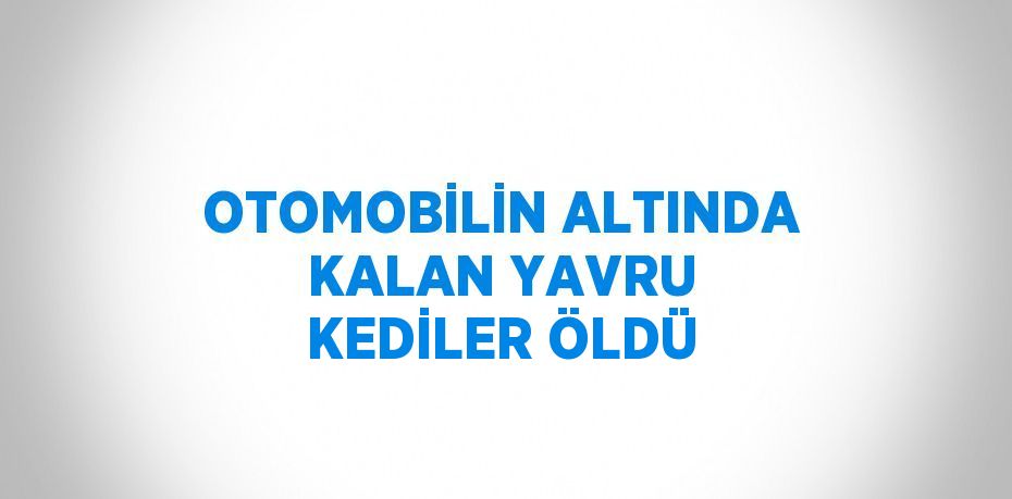 OTOMOBİLİN ALTINDA KALAN YAVRU KEDİLER ÖLDÜ