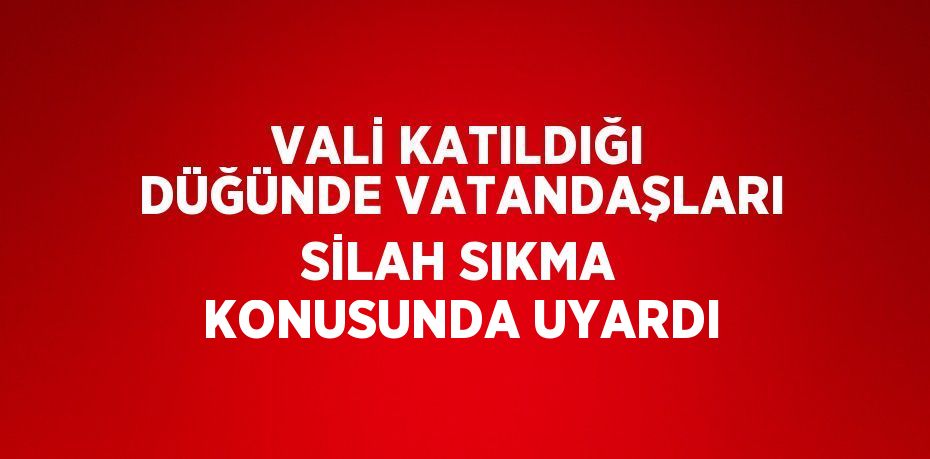 VALİ KATILDIĞI DÜĞÜNDE VATANDAŞLARI SİLAH SIKMA KONUSUNDA UYARDI