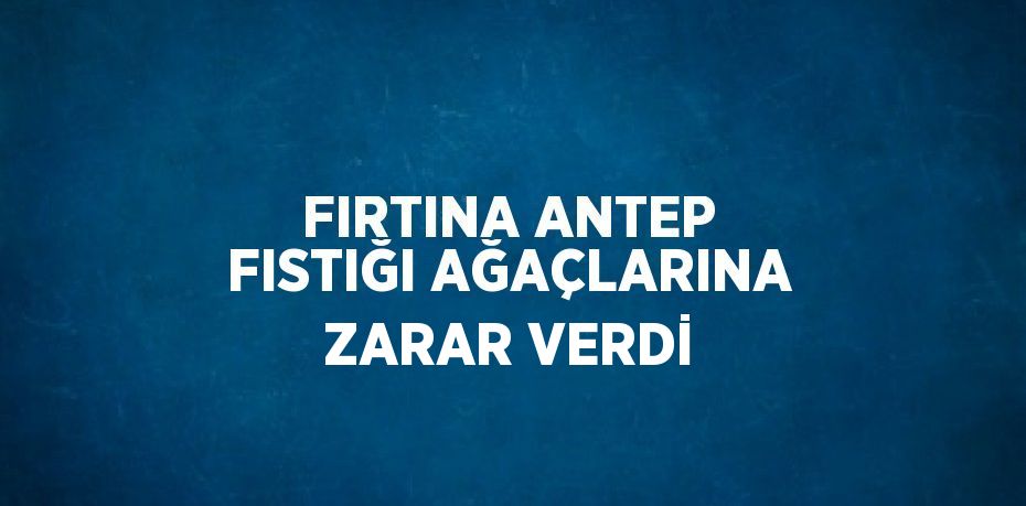 FIRTINA ANTEP FISTIĞI AĞAÇLARINA ZARAR VERDİ