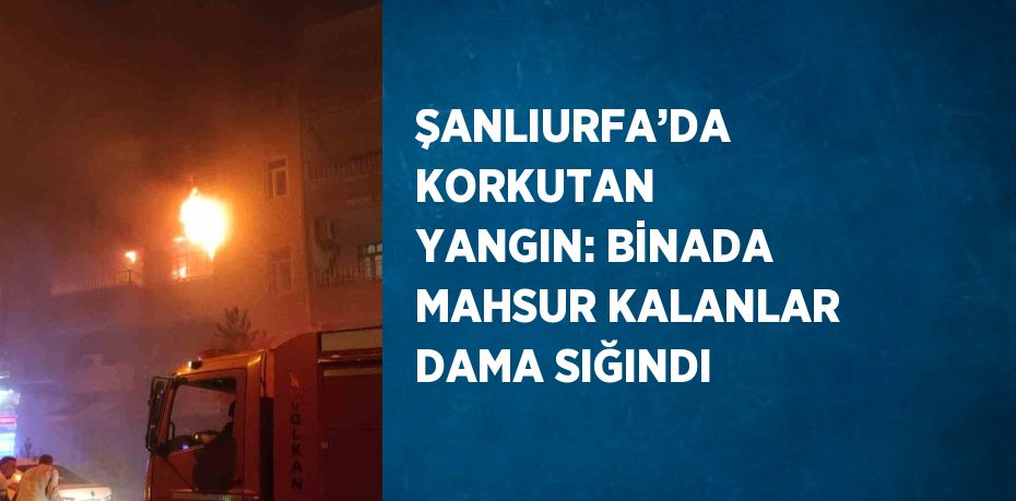 ŞANLIURFA’DA KORKUTAN YANGIN: BİNADA MAHSUR KALANLAR DAMA SIĞINDI