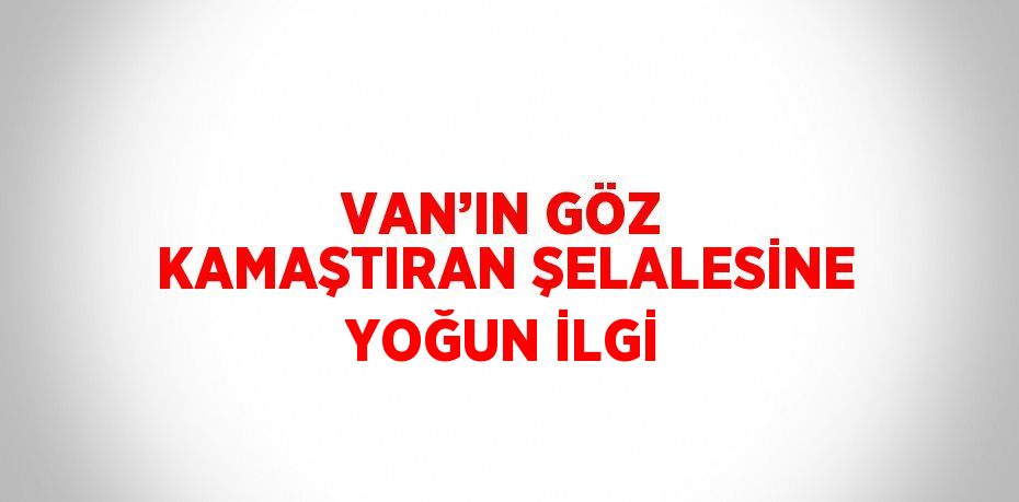 VAN’IN GÖZ KAMAŞTIRAN ŞELALESİNE YOĞUN İLGİ