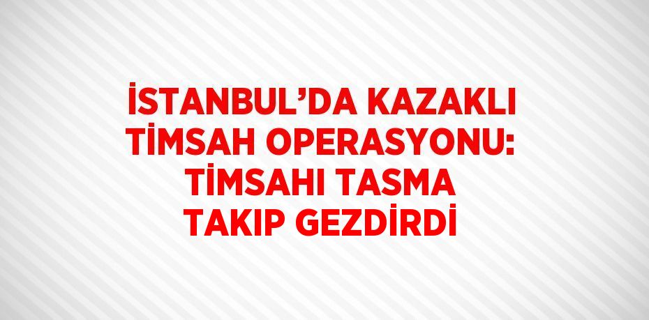 İSTANBUL’DA KAZAKLI TİMSAH OPERASYONU: TİMSAHI TASMA TAKIP GEZDİRDİ