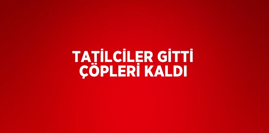 TATİLCİLER GİTTİ ÇÖPLERİ KALDI