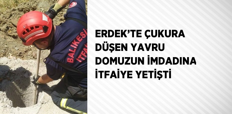 ERDEK’TE ÇUKURA DÜŞEN YAVRU DOMUZUN İMDADINA İTFAİYE YETİŞTİ