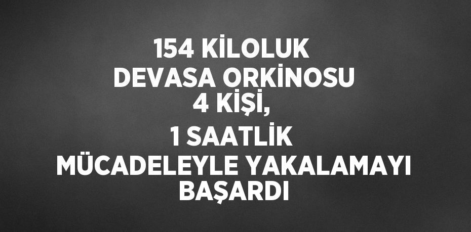 154 KİLOLUK DEVASA ORKİNOSU 4 KİŞİ, 1 SAATLİK MÜCADELEYLE YAKALAMAYI BAŞARDI