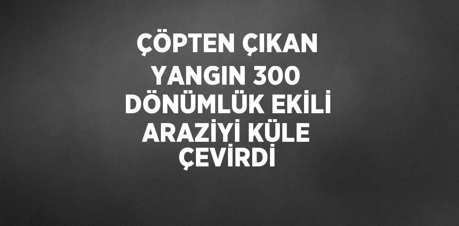 ÇÖPTEN ÇIKAN YANGIN 300 DÖNÜMLÜK EKİLİ ARAZİYİ KÜLE ÇEVİRDİ