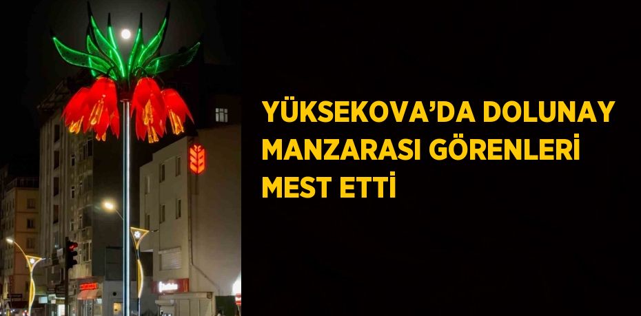 YÜKSEKOVA’DA DOLUNAY MANZARASI GÖRENLERİ MEST ETTİ