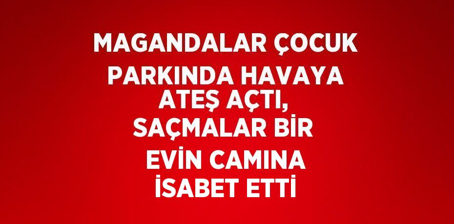 MAGANDALAR ÇOCUK PARKINDA HAVAYA ATEŞ AÇTI, SAÇMALAR BİR EVİN CAMINA İSABET ETTİ