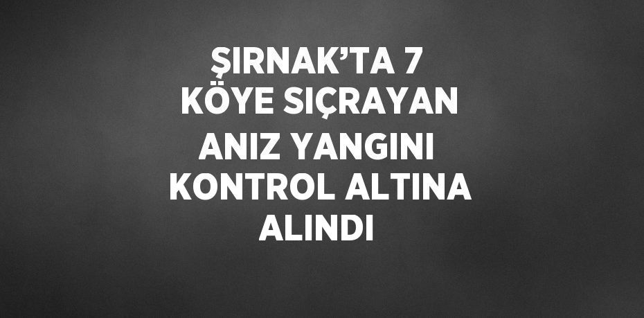 ŞIRNAK’TA 7 KÖYE SIÇRAYAN ANIZ YANGINI KONTROL ALTINA ALINDI