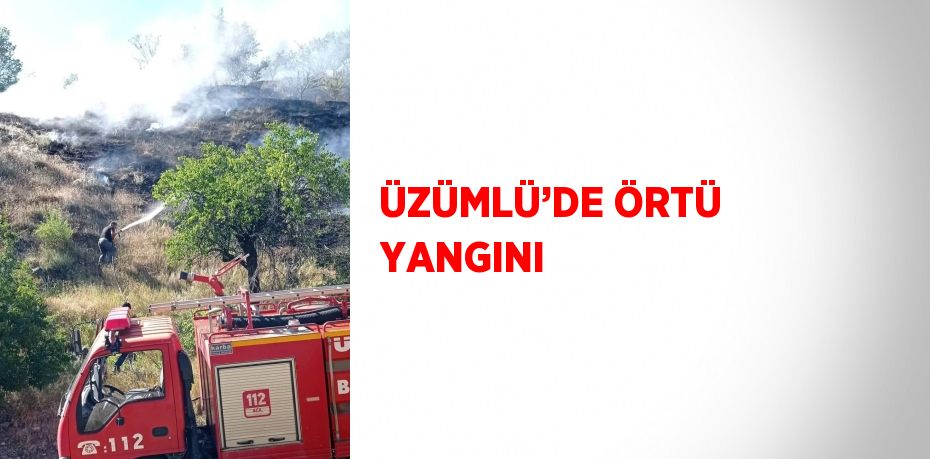 ÜZÜMLÜ’DE ÖRTÜ YANGINI