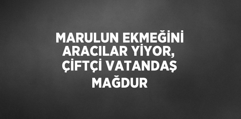 MARULUN EKMEĞİNİ ARACILAR YİYOR, ÇİFTÇİ VATANDAŞ MAĞDUR