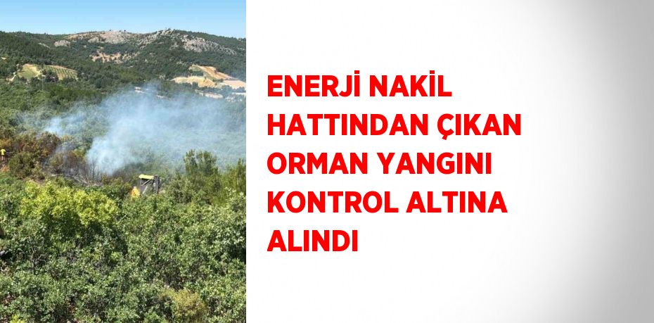 ENERJİ NAKİL HATTINDAN ÇIKAN ORMAN YANGINI KONTROL ALTINA ALINDI