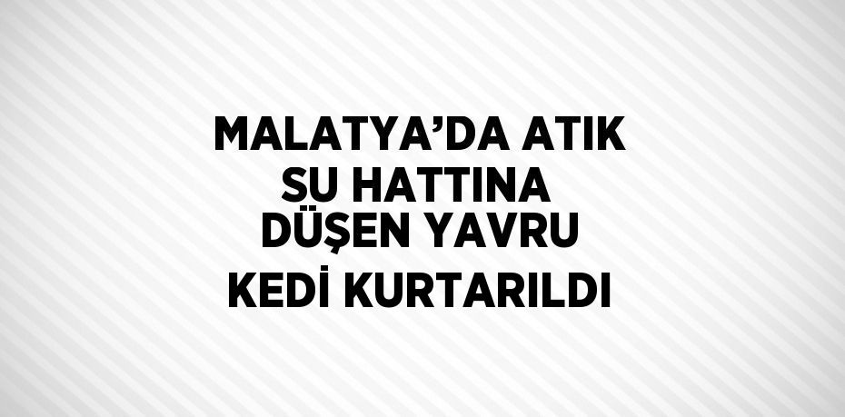 MALATYA’DA ATIK SU HATTINA DÜŞEN YAVRU KEDİ KURTARILDI