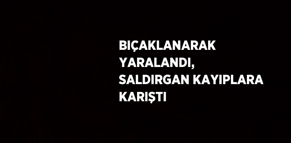 BIÇAKLANARAK YARALANDI, SALDIRGAN KAYIPLARA KARIŞTI