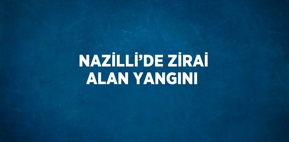 NAZİLLİ’DE ZİRAİ ALAN YANGINI