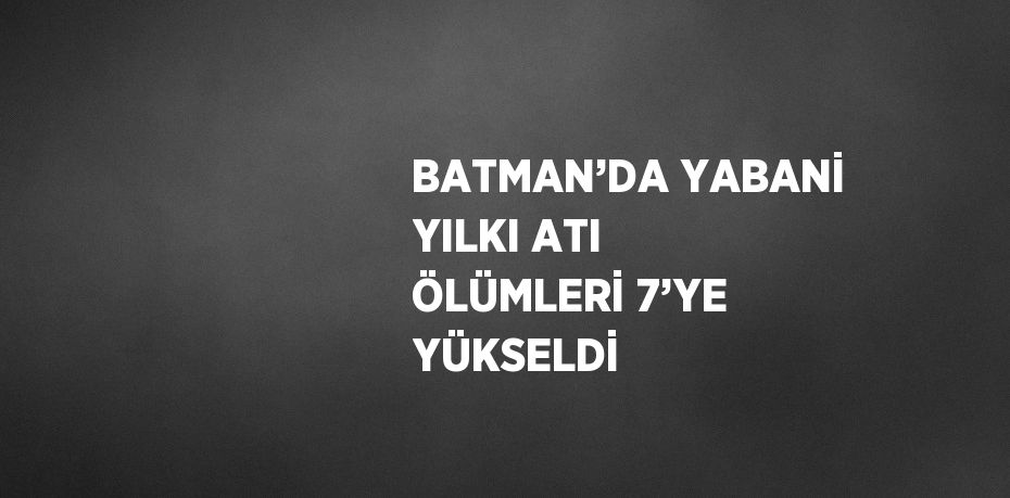 BATMAN’DA YABANİ YILKI ATI ÖLÜMLERİ 7’YE YÜKSELDİ
