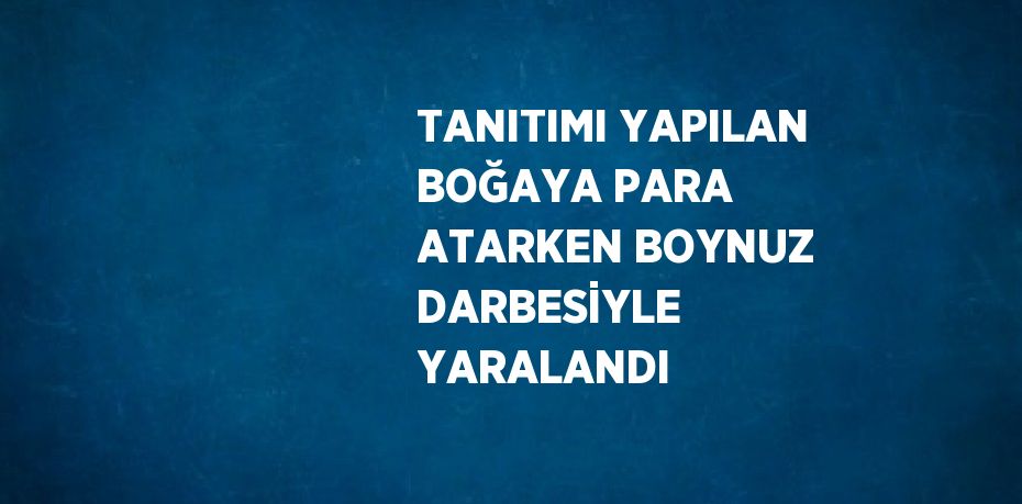 TANITIMI YAPILAN BOĞAYA PARA ATARKEN BOYNUZ DARBESİYLE YARALANDI