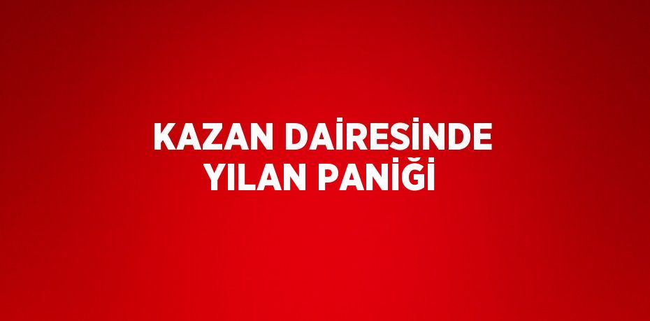 KAZAN DAİRESİNDE YILAN PANİĞİ